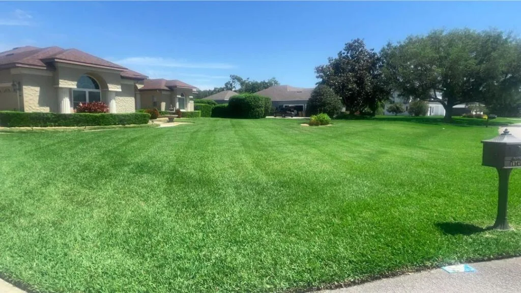 Professional lawn mowing service in Lake County, Florida