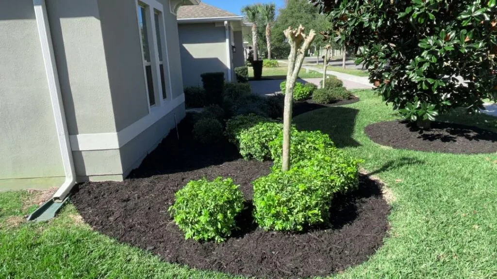 Landscaping service for Lake County, Florida properties