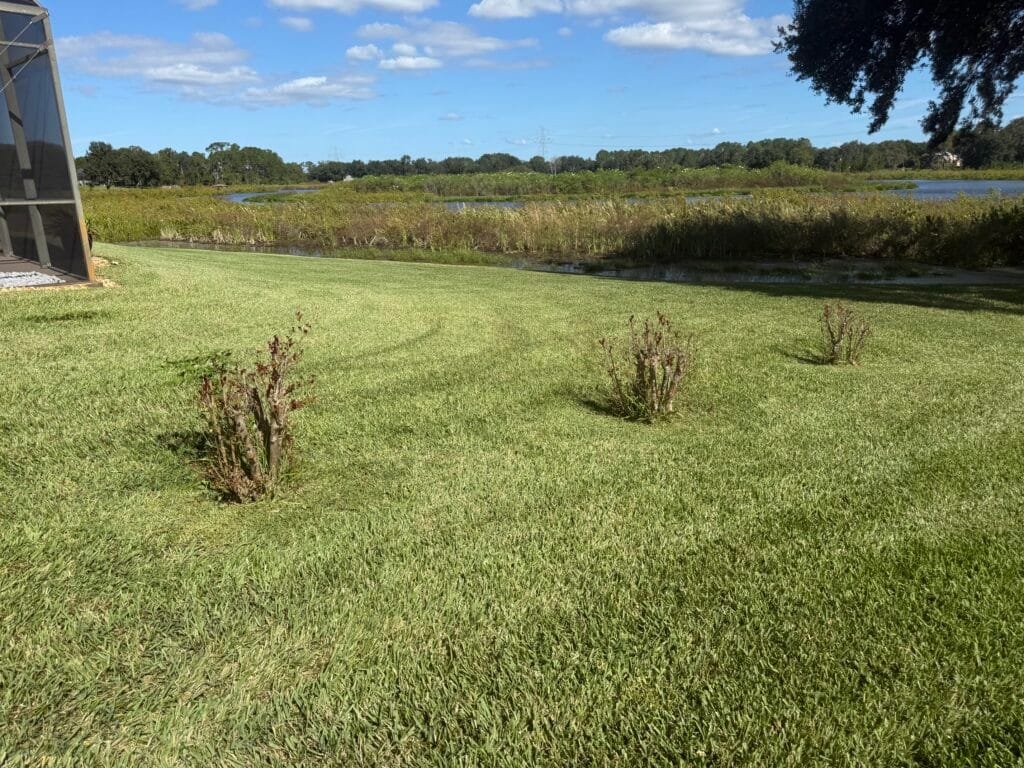 Lawn mowing and edging in Groveland, FL