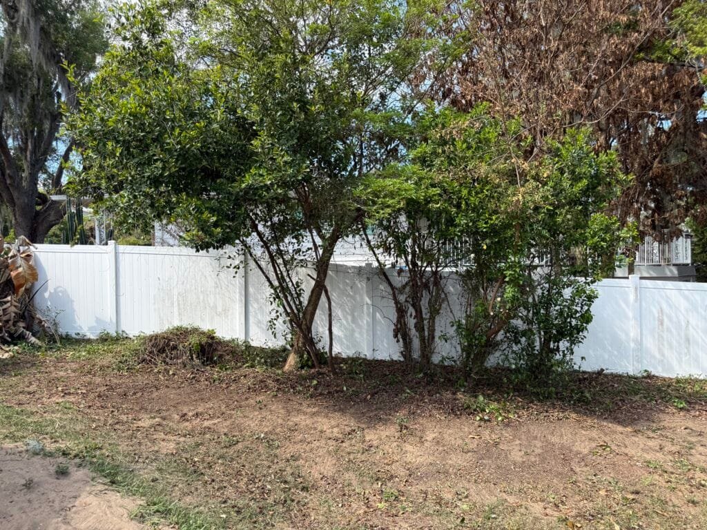 Landscaping and Brush removal in Howey-in-the-Hills, FL