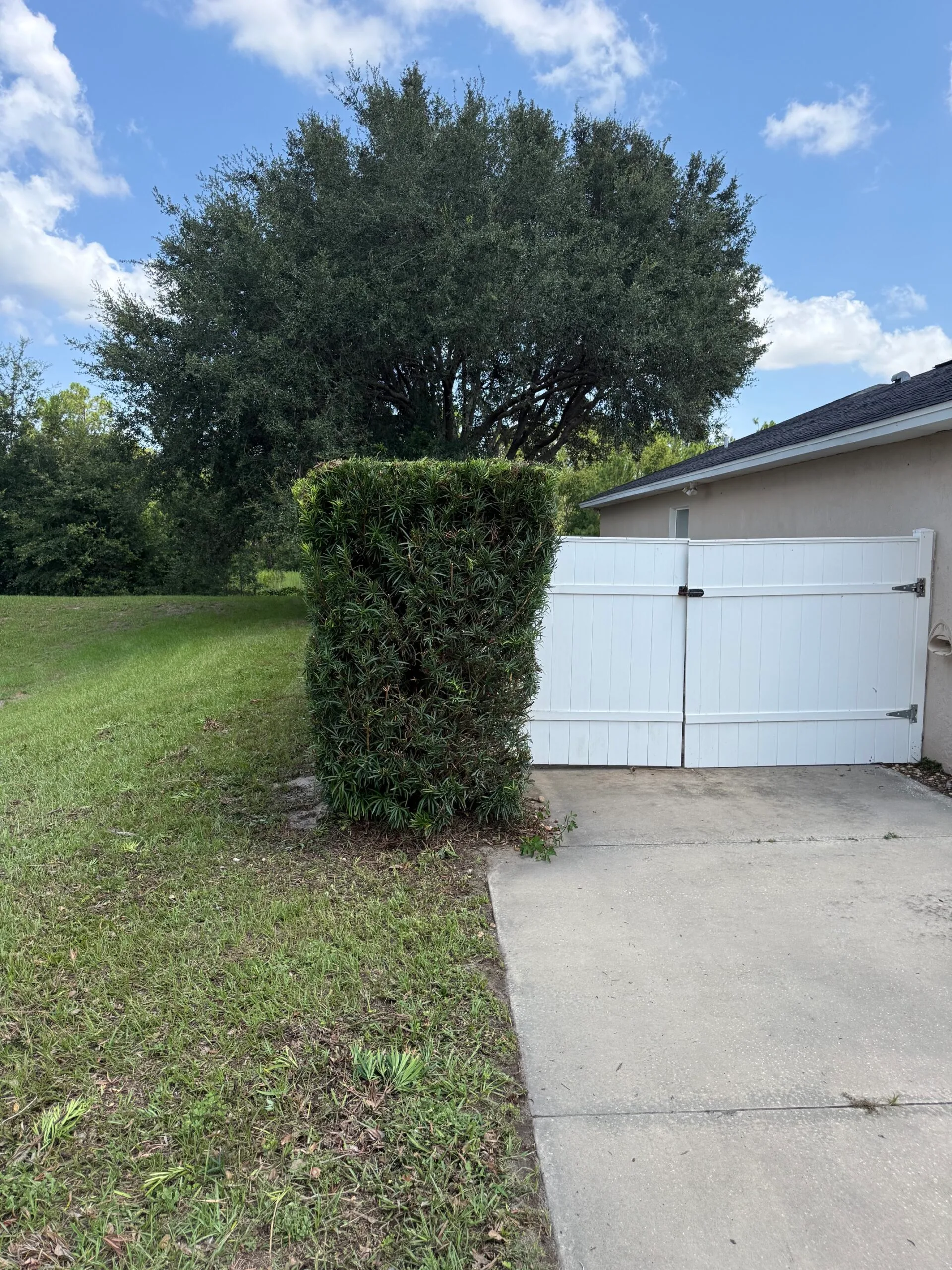 Neatly trimmed hedge after JD's Lawncare service in Lake County, Florida