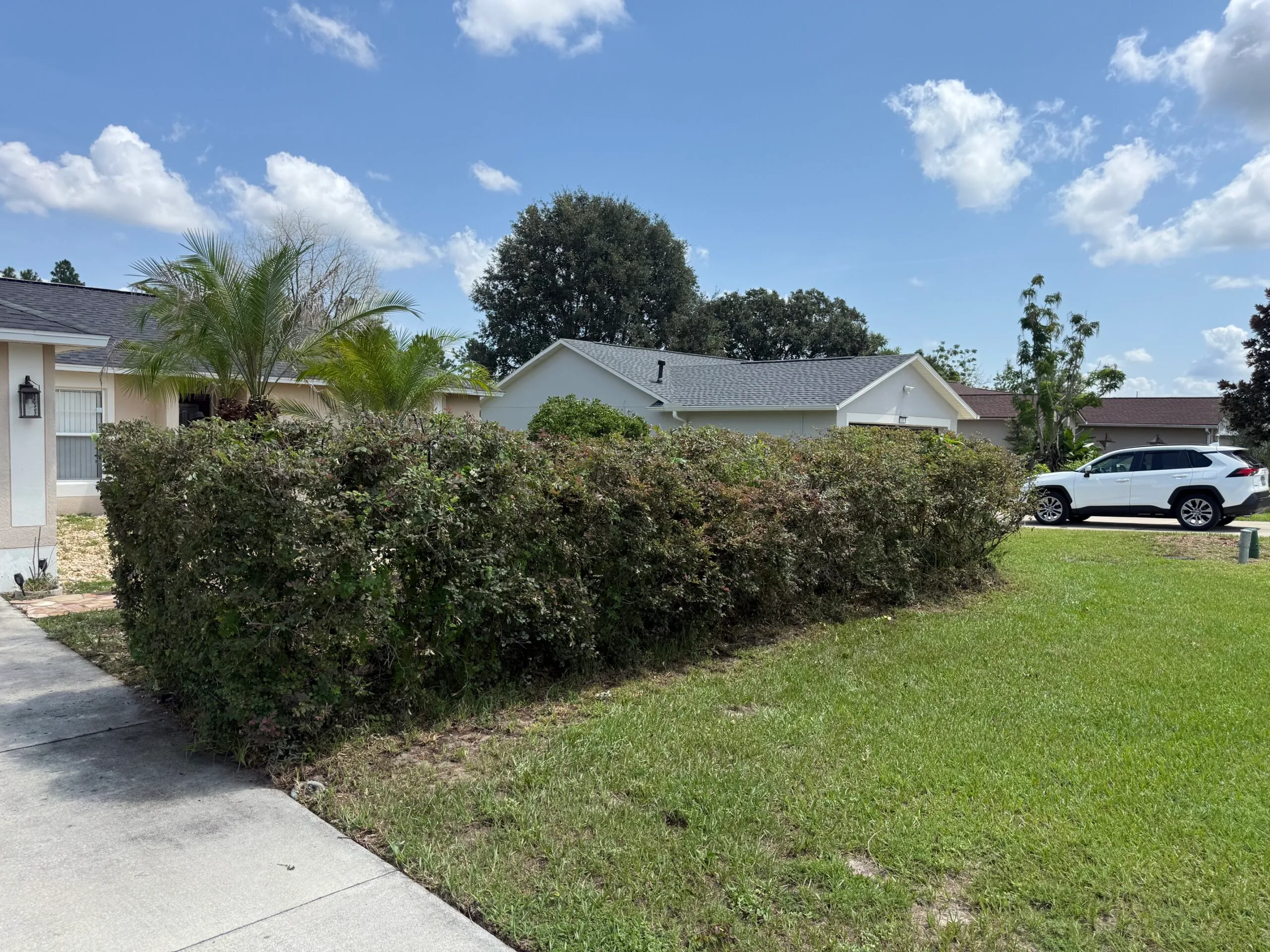 Backyard landscaping after weed-whacking and cleanup in Lake County, Florida
